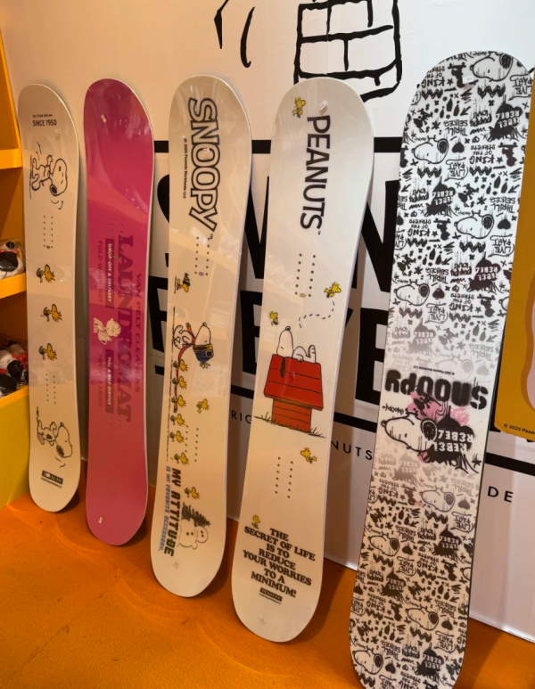 照片來源：小紅書