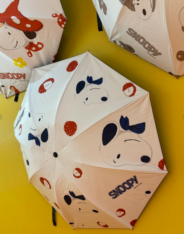 照片來源：小紅書