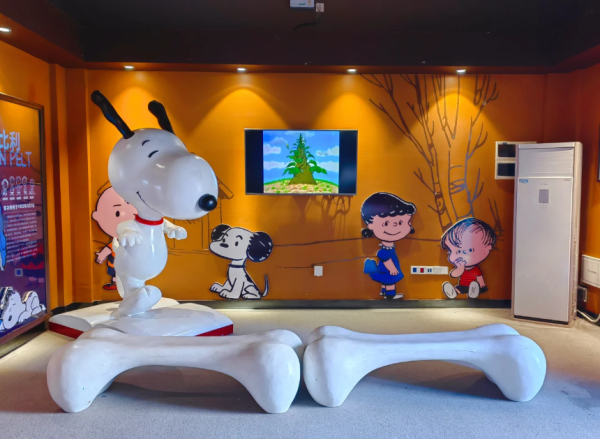 照片來源：小紅書