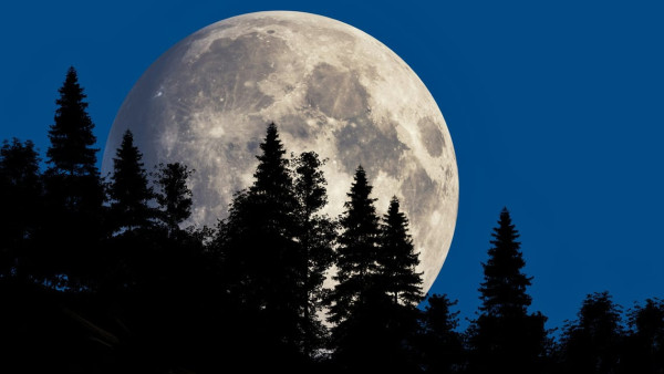 2025 最大超級月亮登場 手機攝影必學 5 招輕鬆拍出天文級海狸月