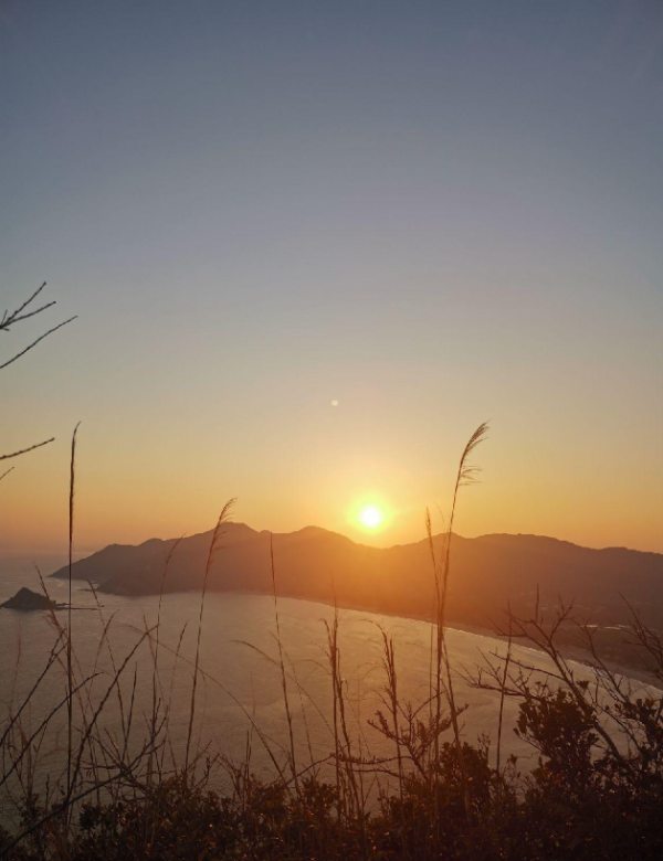 照片來源：官方網站