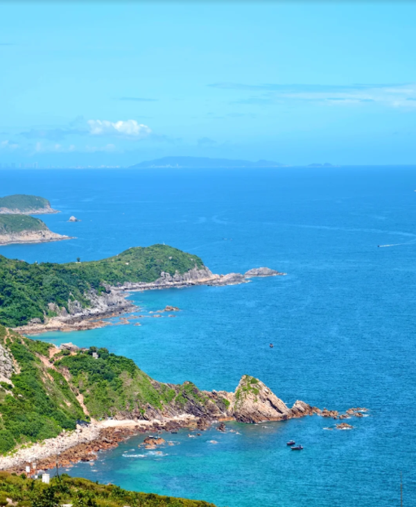 照片來源：小紅書