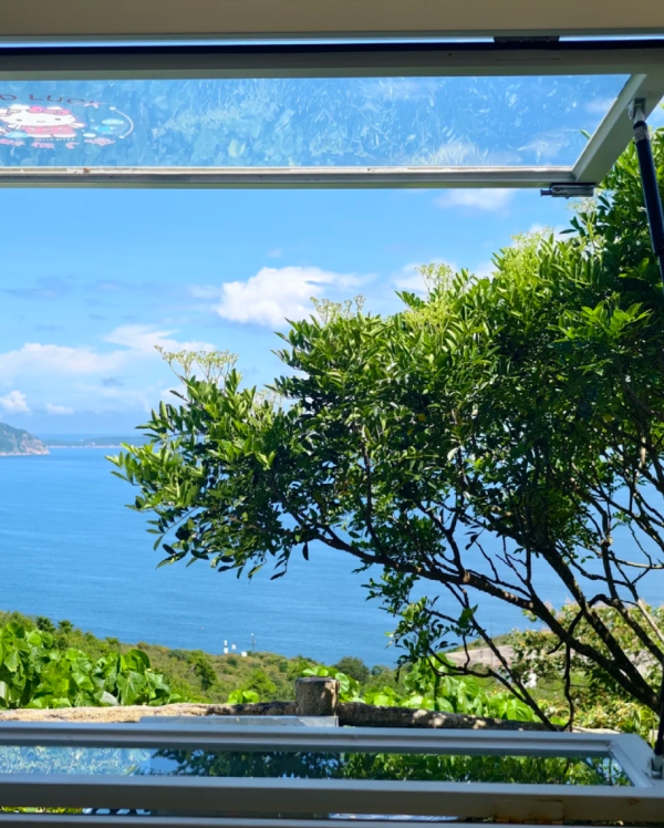 照片來源：小紅書