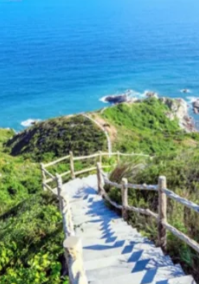 照片來源：小紅書