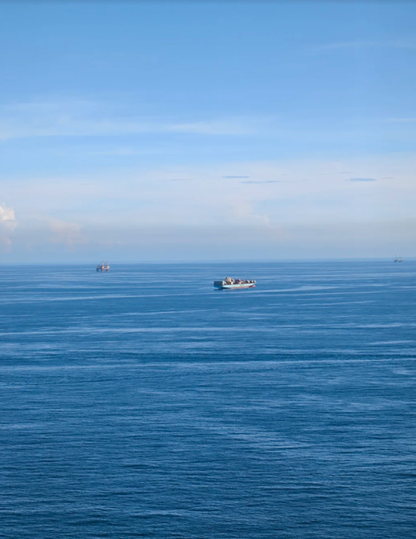 照片來源：小紅書