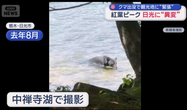 照片來源:YouTube@ANNnewsCH 照片來源:YouTube@ANNnewsCH