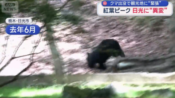 照片來源:YouTube@ANNnewsCH 照片來源:YouTube@ANNnewsCH