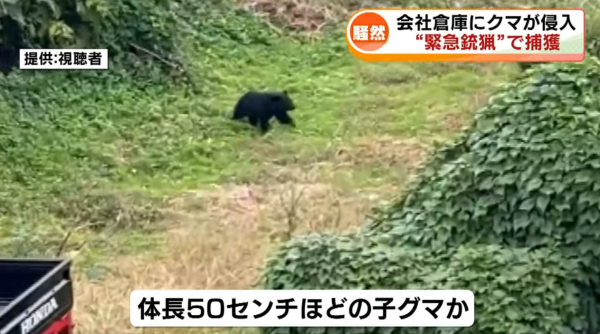 照片來源:YouTube@TeNYNEWS 照片來源:YouTube@TeNYNEWS