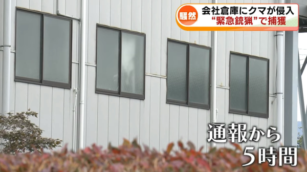 照片來源:YouTube@TeNYNEWS 照片來源:YouTube@TeNYNEWS