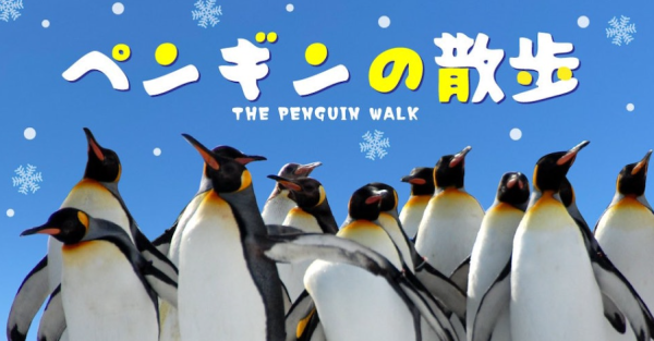 圖片來源:Twitter@旭川市旭山動物園 圖片來源:Twitter@旭川市旭山動物園