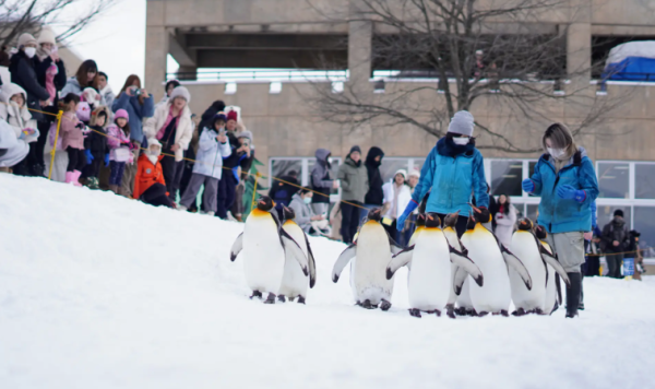 圖片來源:好運日本行 圖片來源:好運日本行