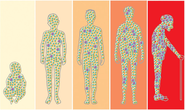 全年最抵!!Return Optima NMN含量升級2倍 15分鐘重啟細胞年輕密碼
