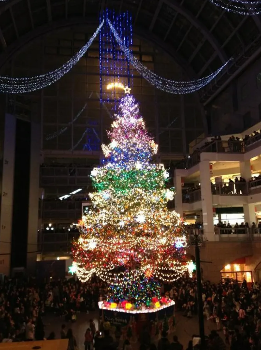 圖片來源:domingo 圖片來源:domingo