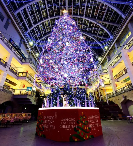 圖片來源:domingo 圖片來源:domingo