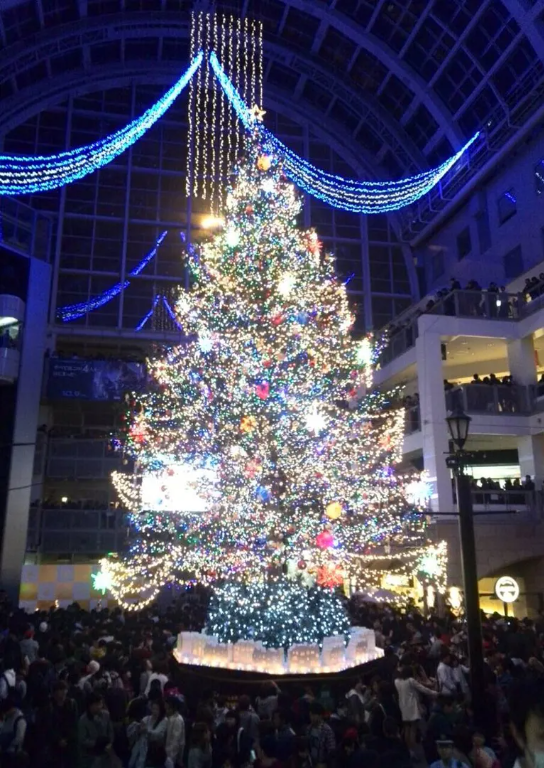 圖片來源:domingo 圖片來源:domingo