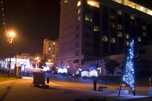 圖片來源:HOKKAIDO LOVE ! 圖片來源:HOKKAIDO LOVE !