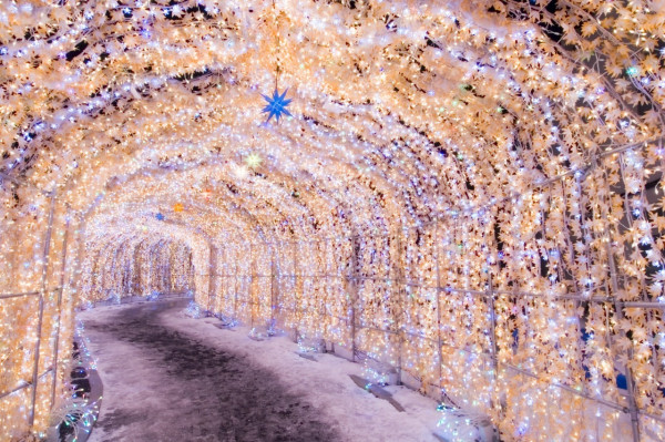 圖片來源:HOKKAIDO LOVE ! 圖片來源:HOKKAIDO LOVE !