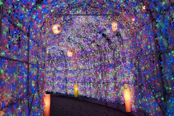 圖片來源:HOKKAIDO LOVE ! 圖片來源:HOKKAIDO LOVE !