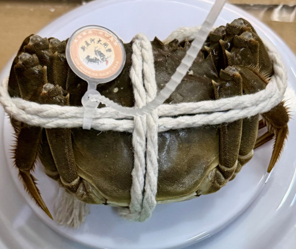 4大超市大閘蟹價格比拼！內地大閘蟹直送香港 京東佳寶「餐公」最平$30隻 平市價一半