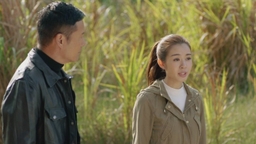 使徒行者2重播劇情線上看|1-30集大結局TVB全劇透!苗僑偉陳豪宣萱許紹雄