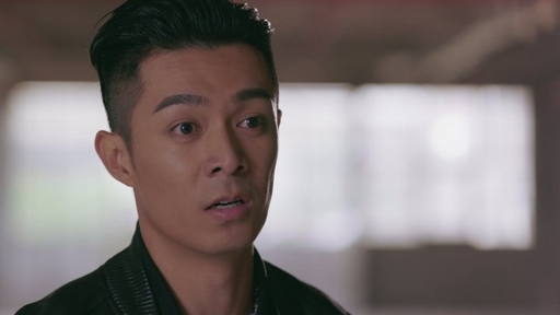 使徒行者2重播劇情線上看|1-30集大結局TVB全劇透!苗僑偉陳豪宣萱許紹雄