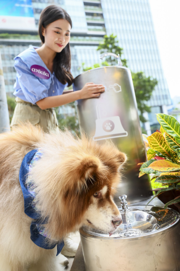 東九龍首個商場寵物公園！Mikiki「Pets Park」逾5,000呎戶外玩樂空間 8大設施/巨型法鬥柴犬打卡