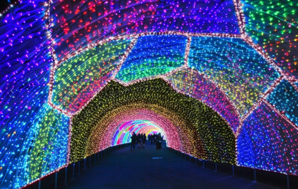 東京聖誕2025｜東京聖誕好去處活動20大必睇！六本木燈海、寶石光影秀、丸之內迪士尼燈飾 