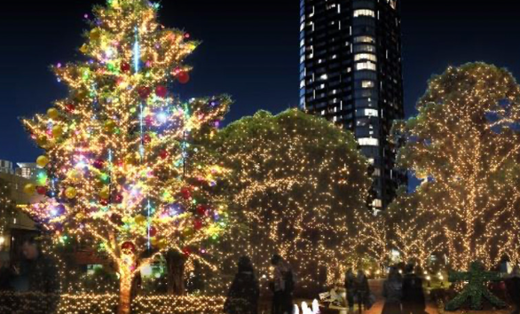 照片來源：官方網站