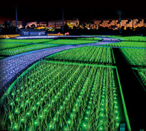 照片來源：Fashion Press