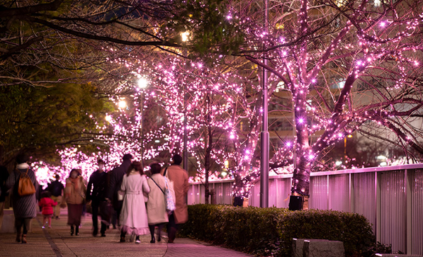 照片來源：官方網站