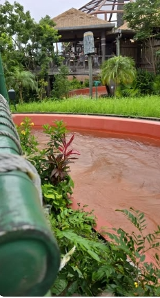 東張西望|海洋公園激流船變「潑水戰場」學生倒水落船惹眾怒!事主鬧爆:好嬲!學校急道歉