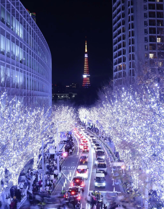 照片來源：小紅書