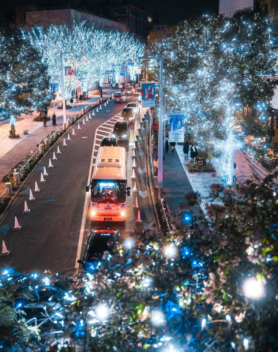 照片來源：小紅書