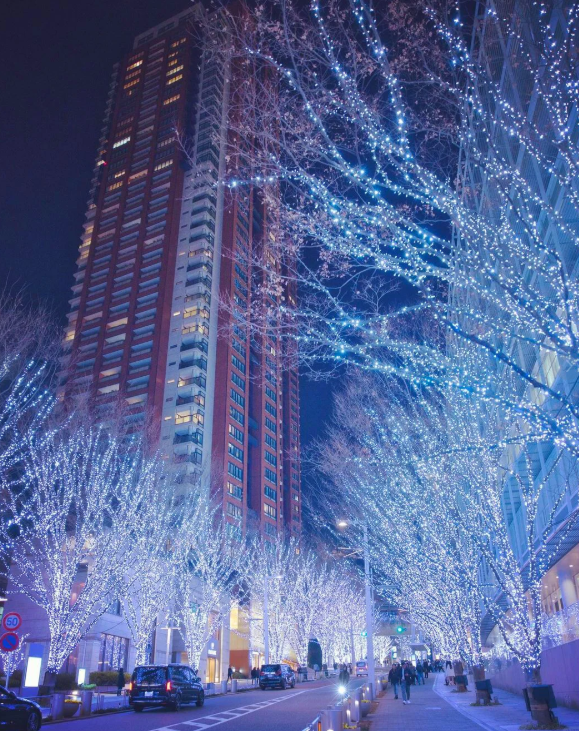 照片來源：小紅書