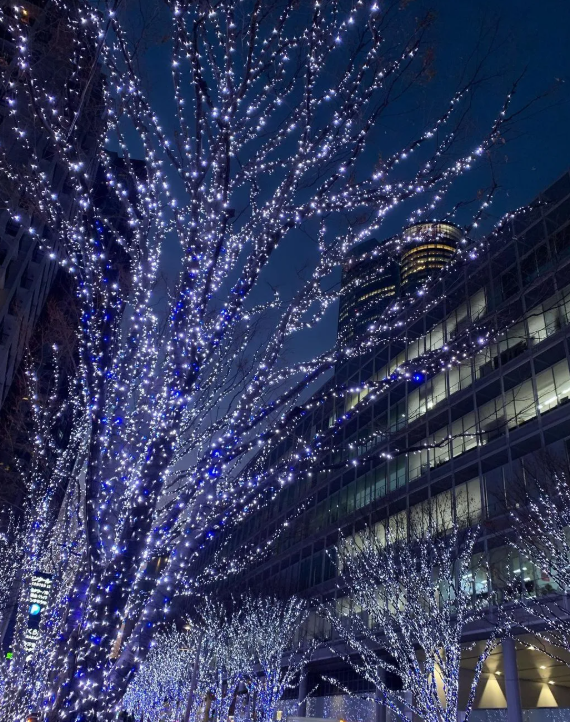 照片來源：小紅書