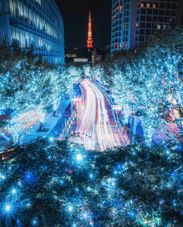 照片來源：小紅書