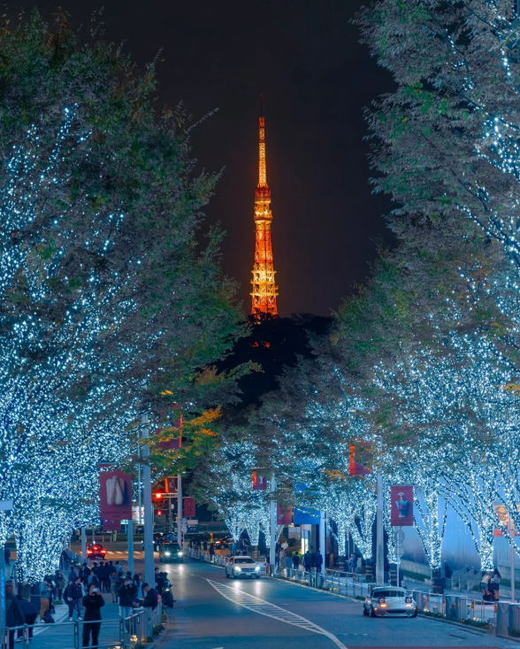 照片來源：小紅書