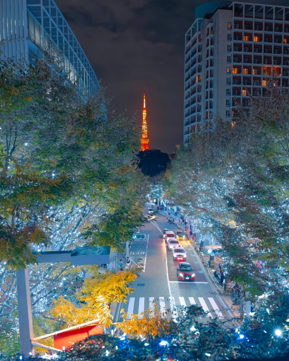 照片來源：小紅書