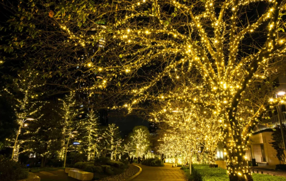 照片來源：小紅書