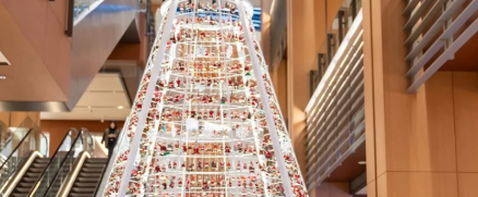 照片來源：小紅書