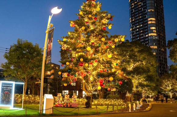 照片來源：小紅書