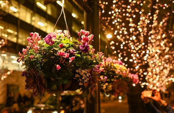 照片來源：小紅書