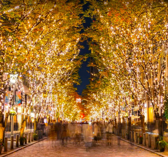 照片來源：小紅書