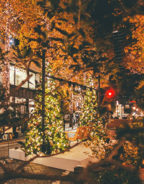 照片來源：小紅書