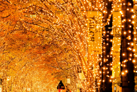 照片來源：小紅書