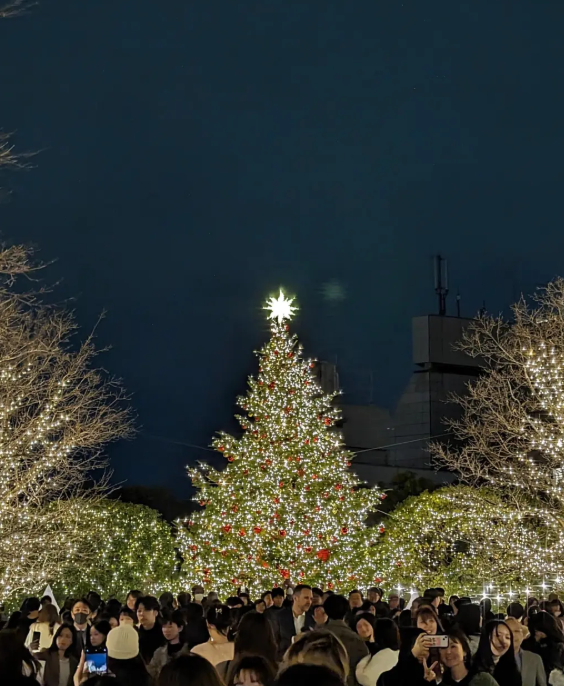照片來源：小紅書