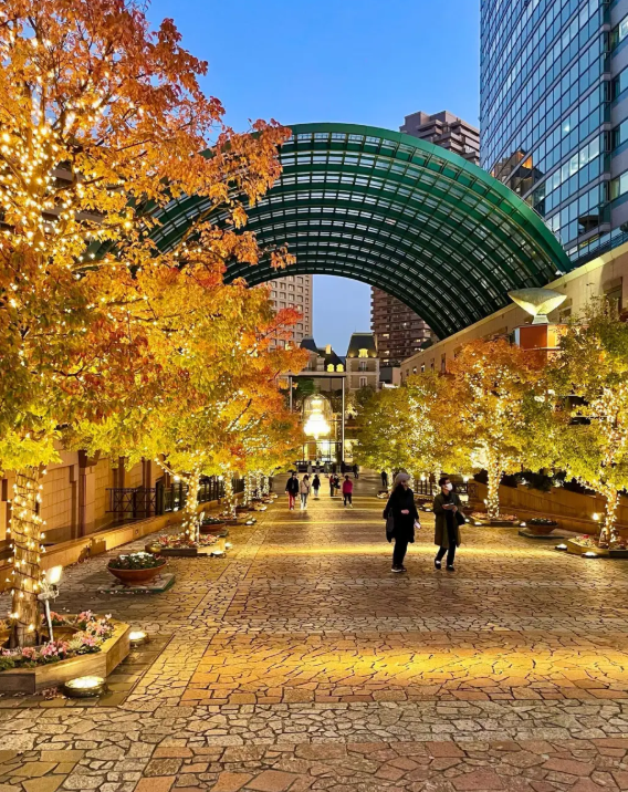 照片來源：小紅書