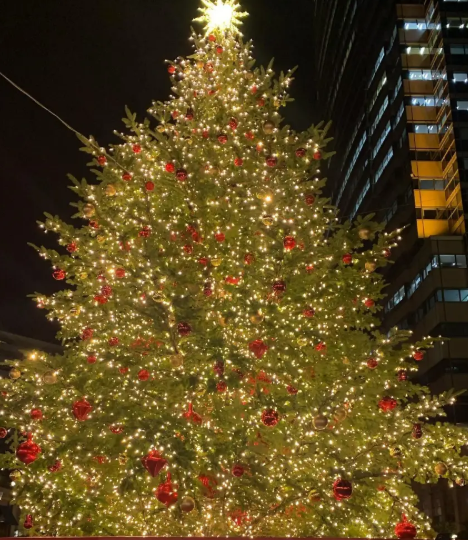 照片來源：小紅書