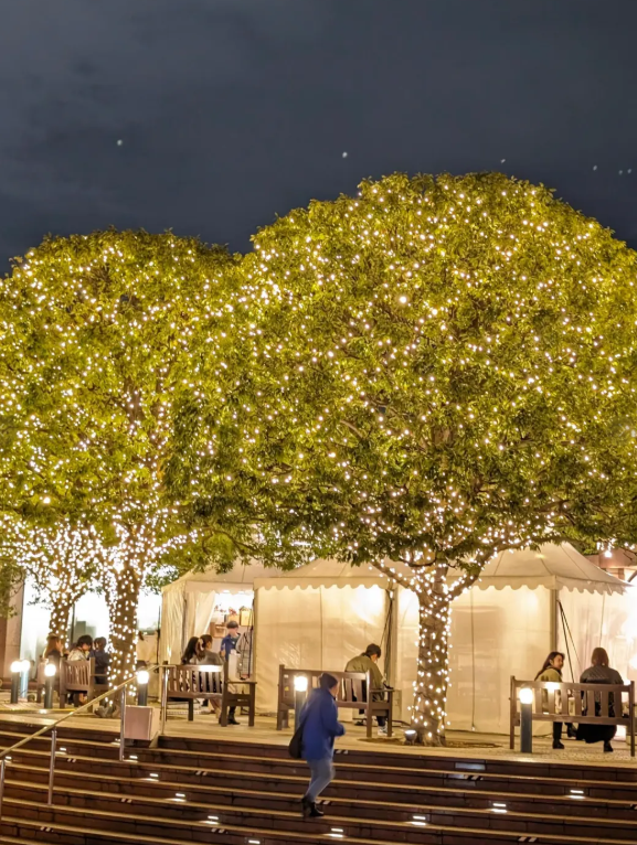 照片來源：小紅書