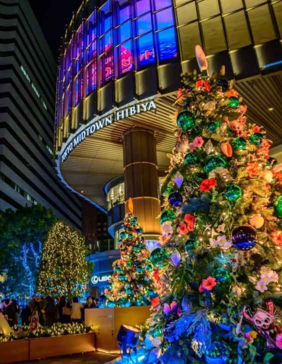 照片來源：小紅書